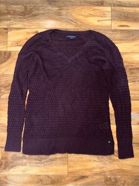 American Eagle Deep Plum V-Neck Knit Sweater
